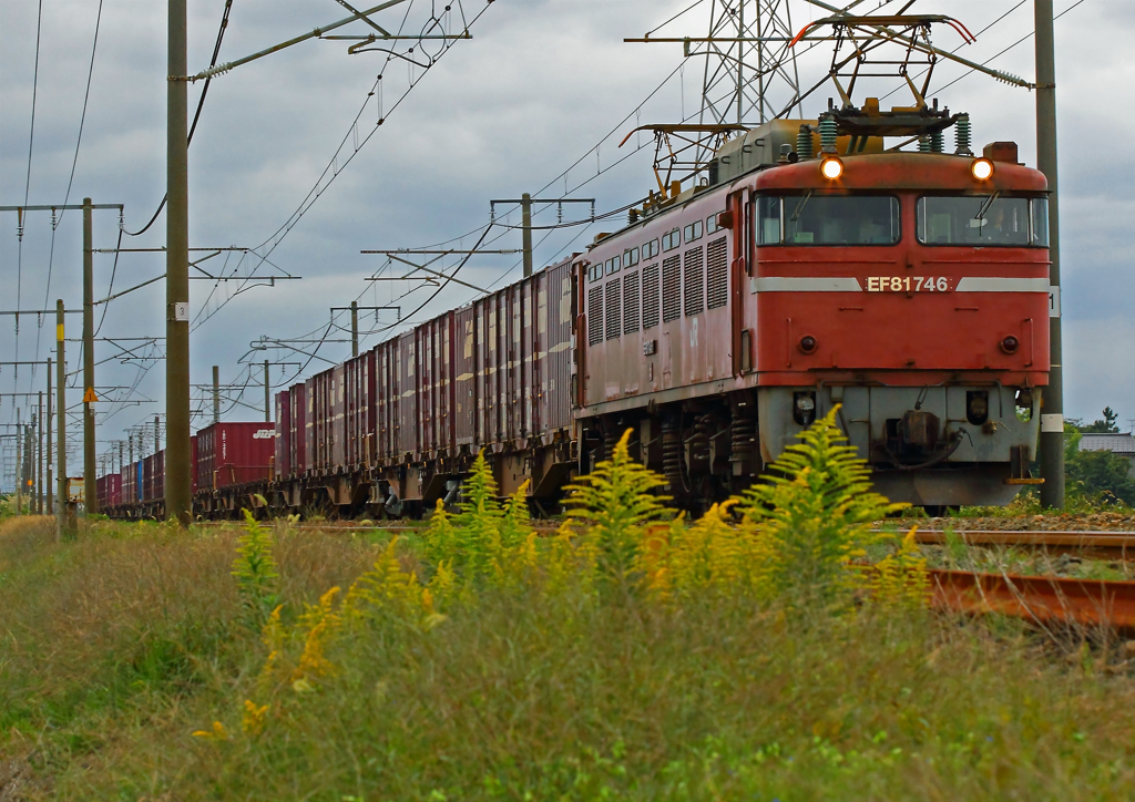 EF81-146