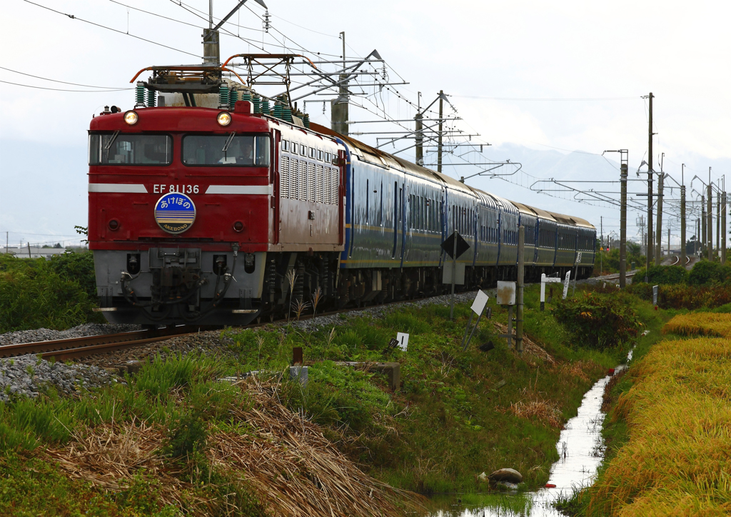 EF81-136