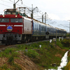 EF81-136