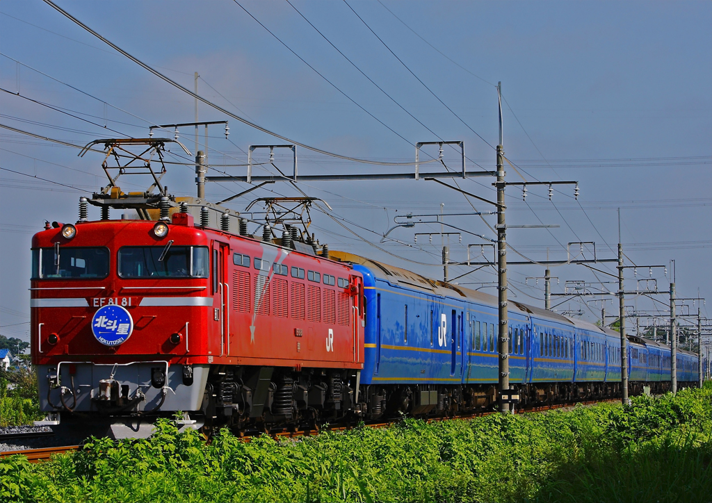 EF81-81