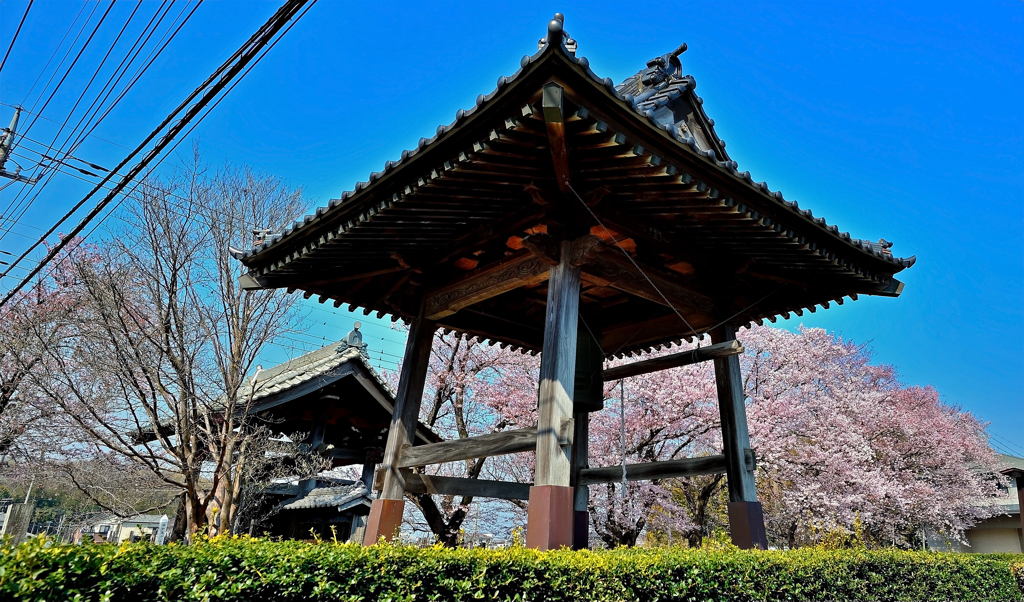 観蔵院