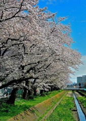 東小学校
