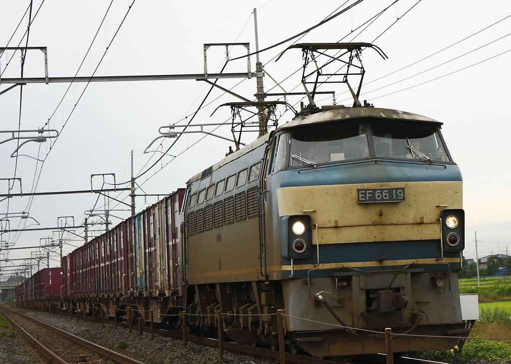 EF66-19