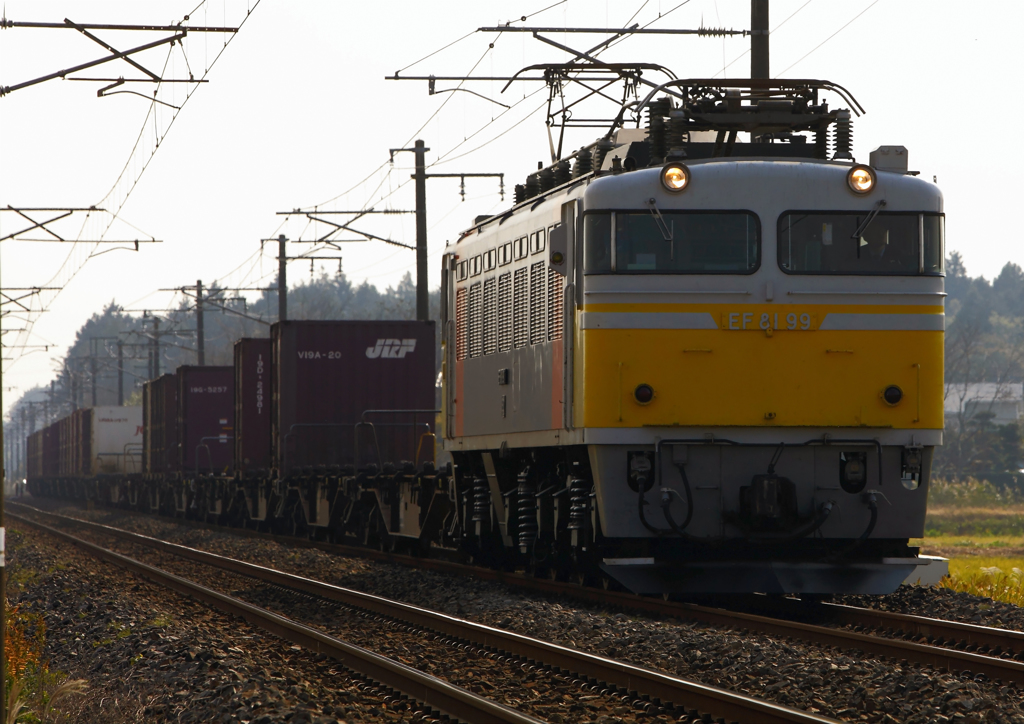 EF81-99