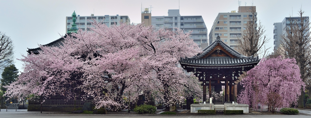 諏訪山吉祥寺