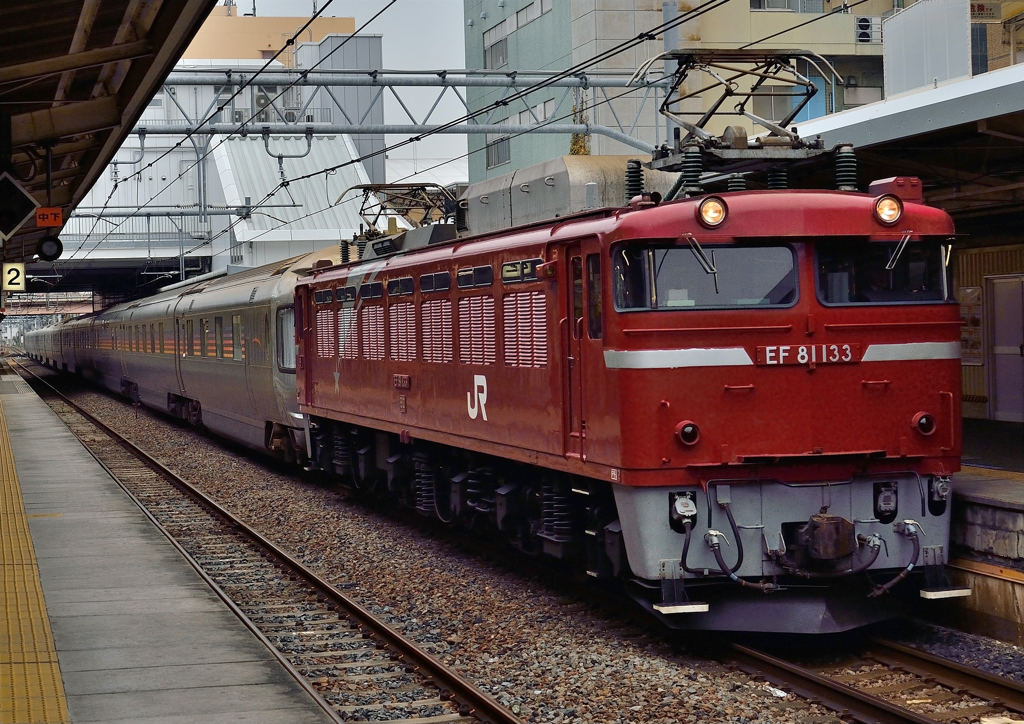 EF81-133