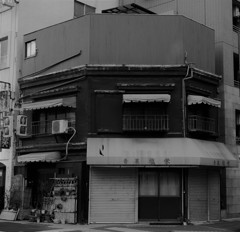 青果塩栄