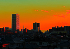 夕日