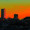 夕日