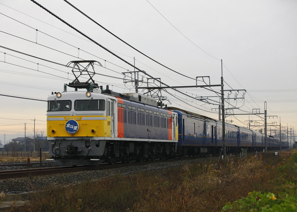 EF81-99