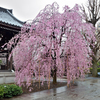 諏訪山吉祥寺