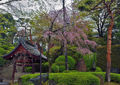 護国寺
