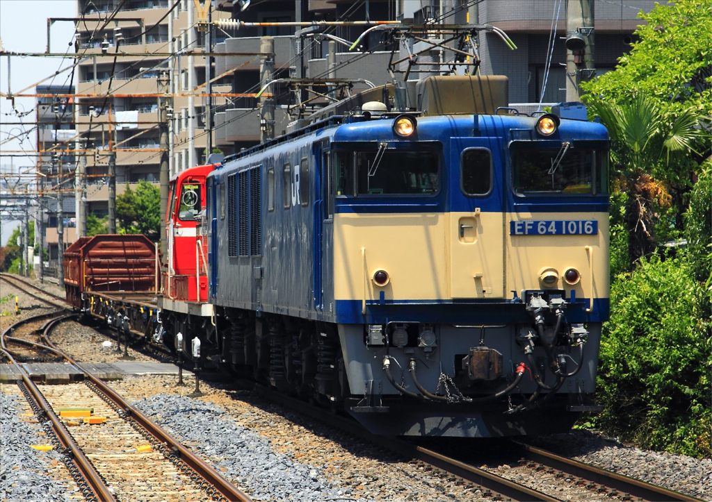 EF64-1016