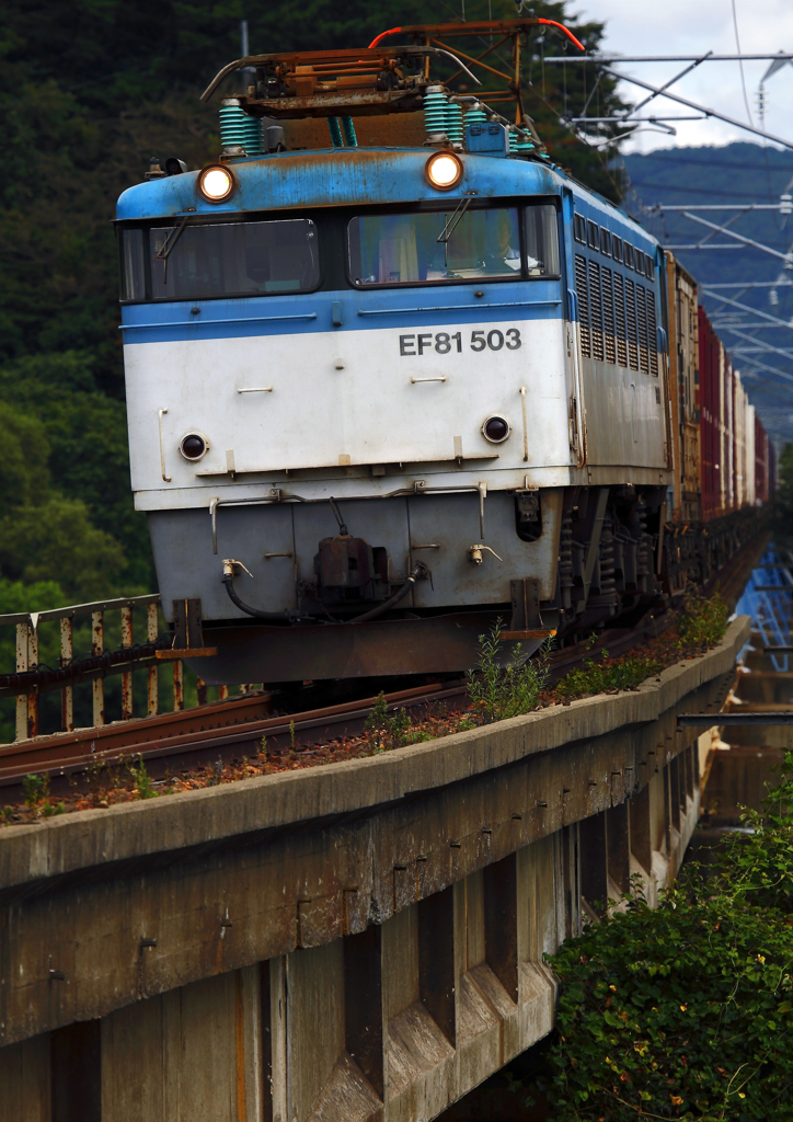 EF81-503