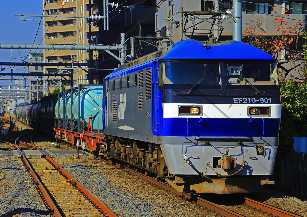 EF210-901
