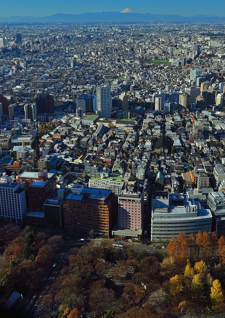 東京都庁