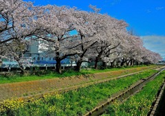 東小学校