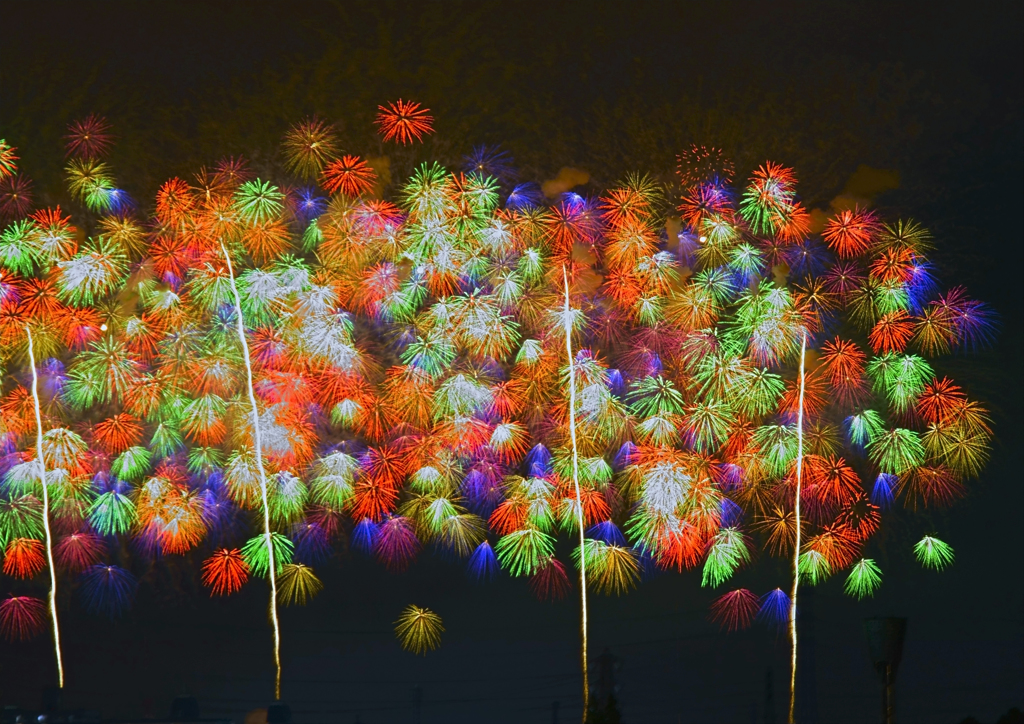 夜ノ花が満開