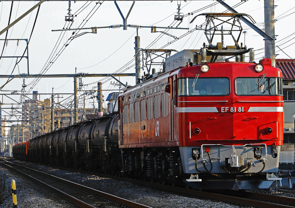 EF81-81