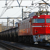 EF81-81