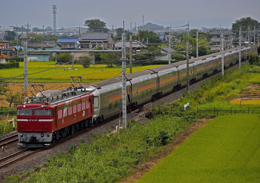 EF81-80