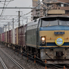 EF66-33