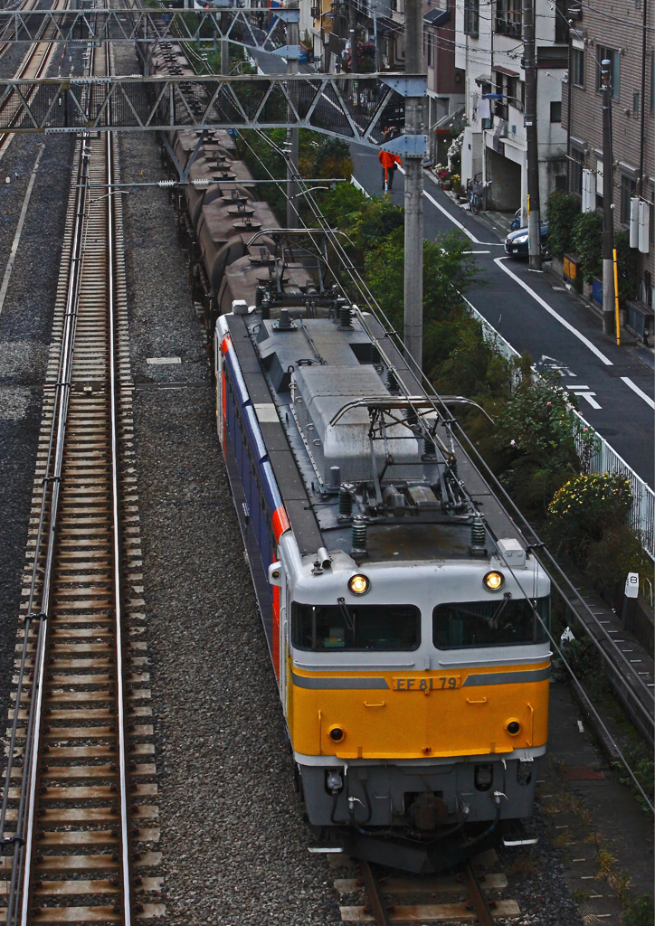 EF81-79