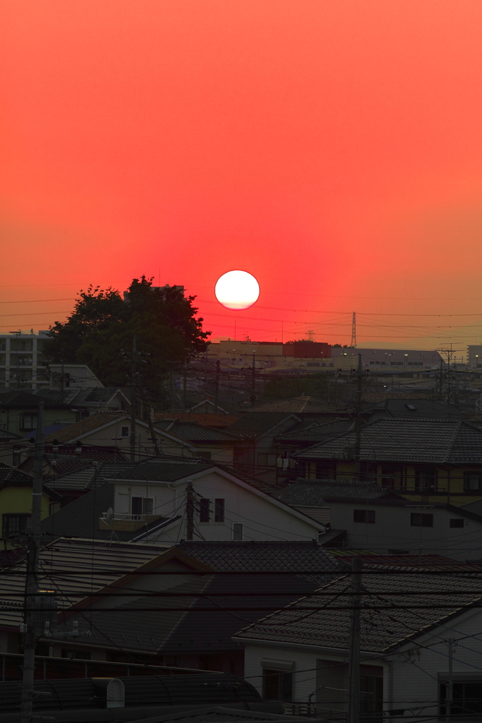 夕日