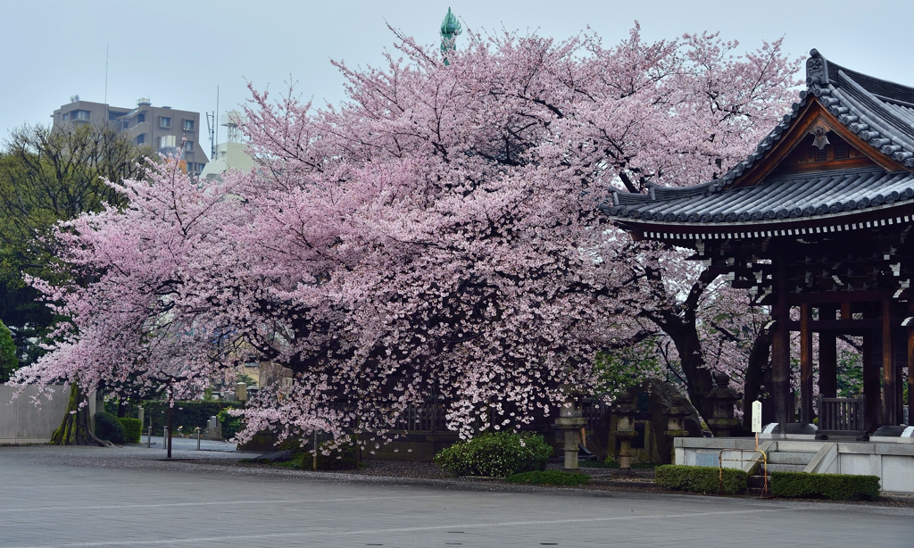 諏訪山吉祥寺