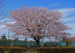 上平公園