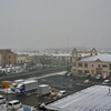54年ぶり11月の雪