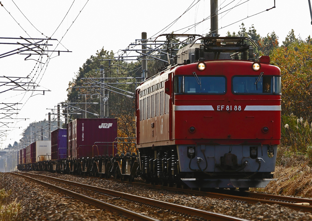 EF81-88