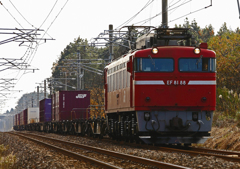 EF81-88