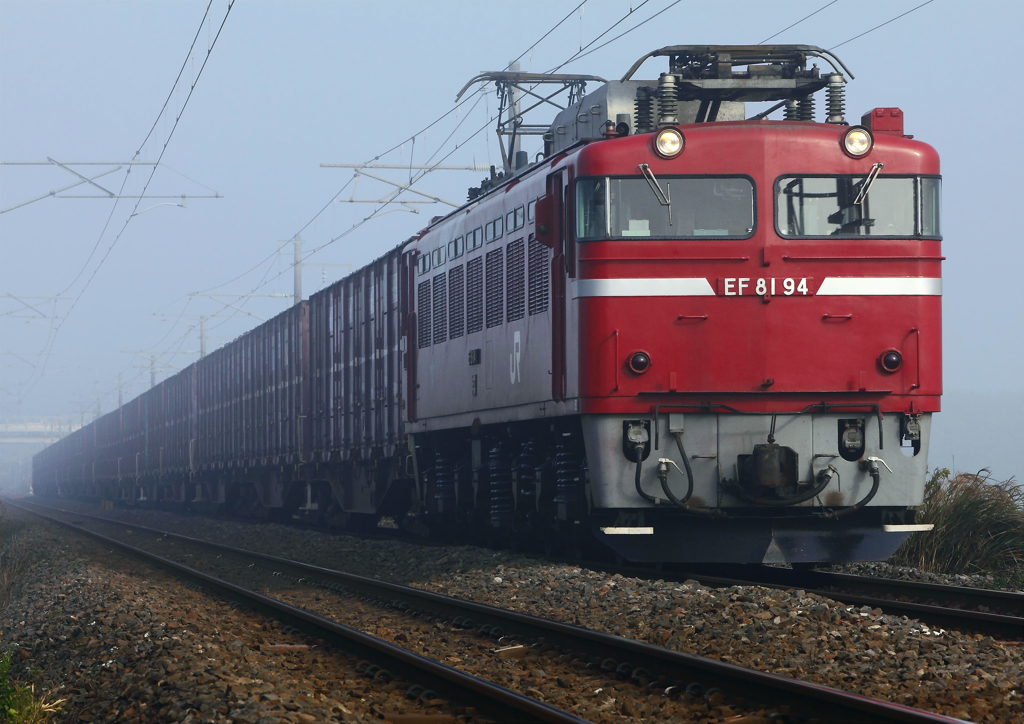 EF81-94