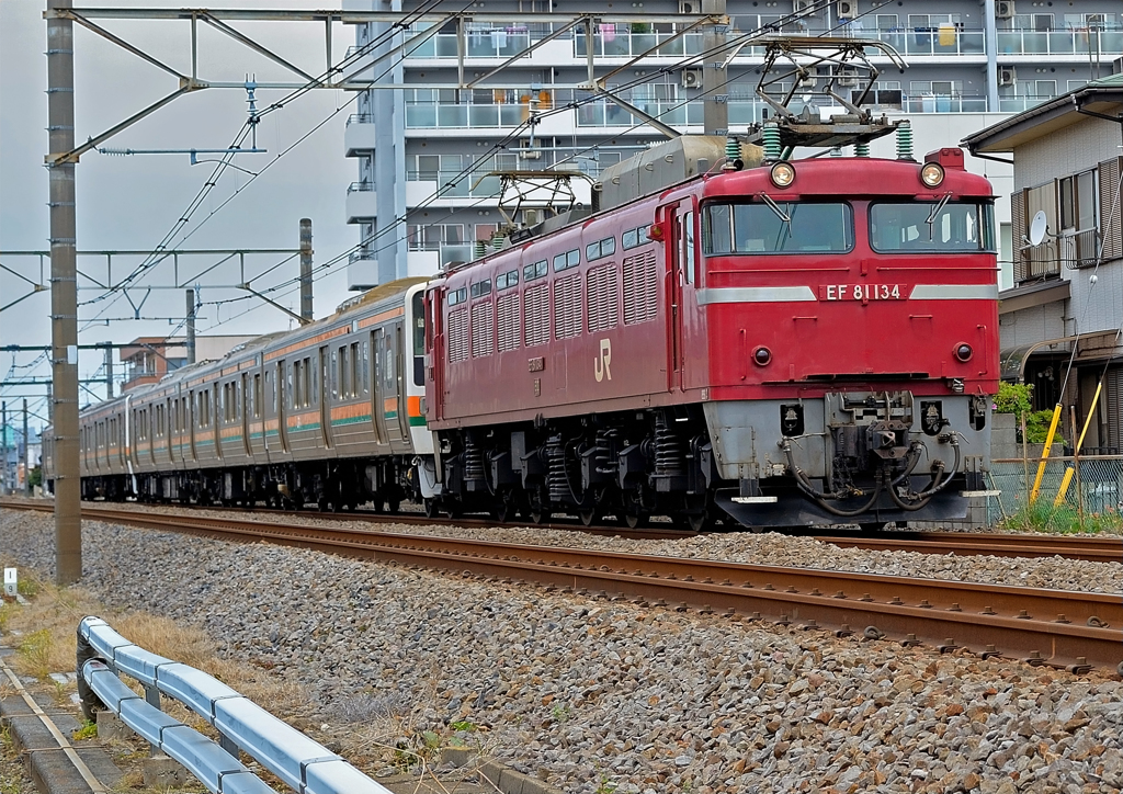 EF81-134