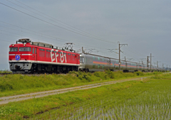 EF81-95