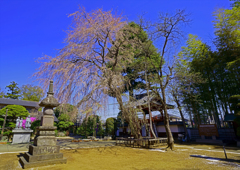 来年への宿題