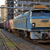 EF66-30