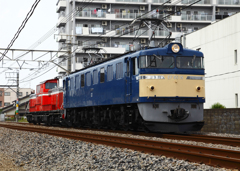 EF60-19