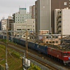 EF81-86