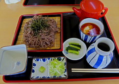 ザル蕎麦とろろ付