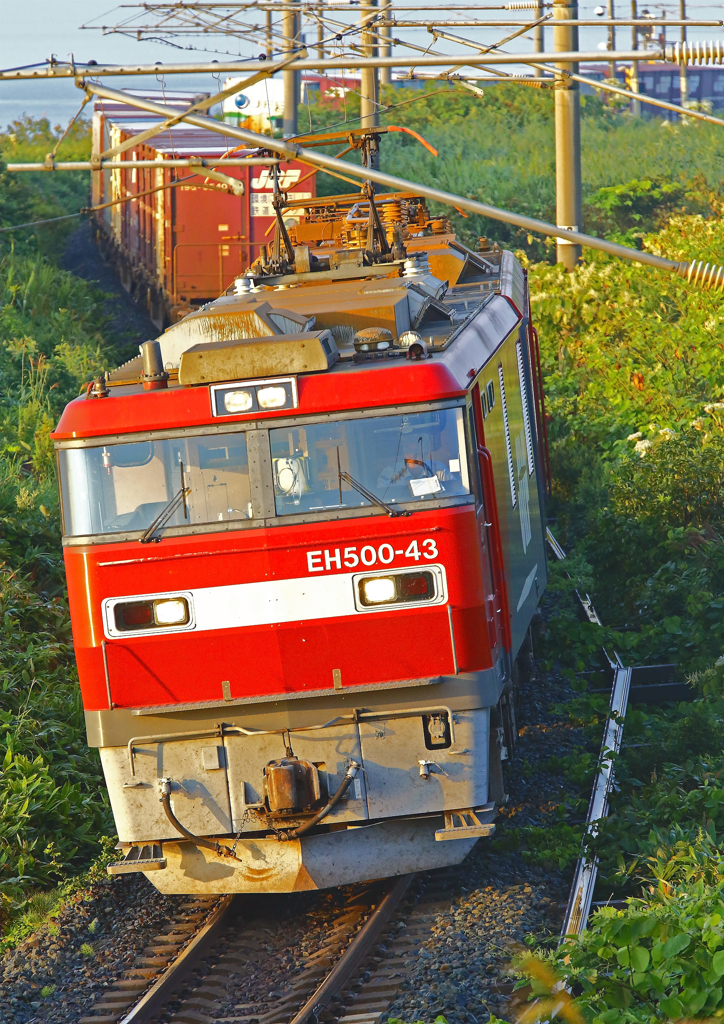 EH500-43
