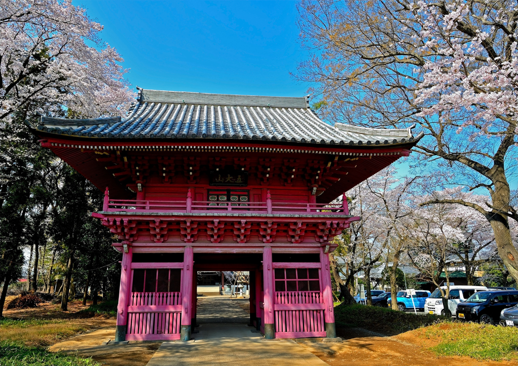 明星院