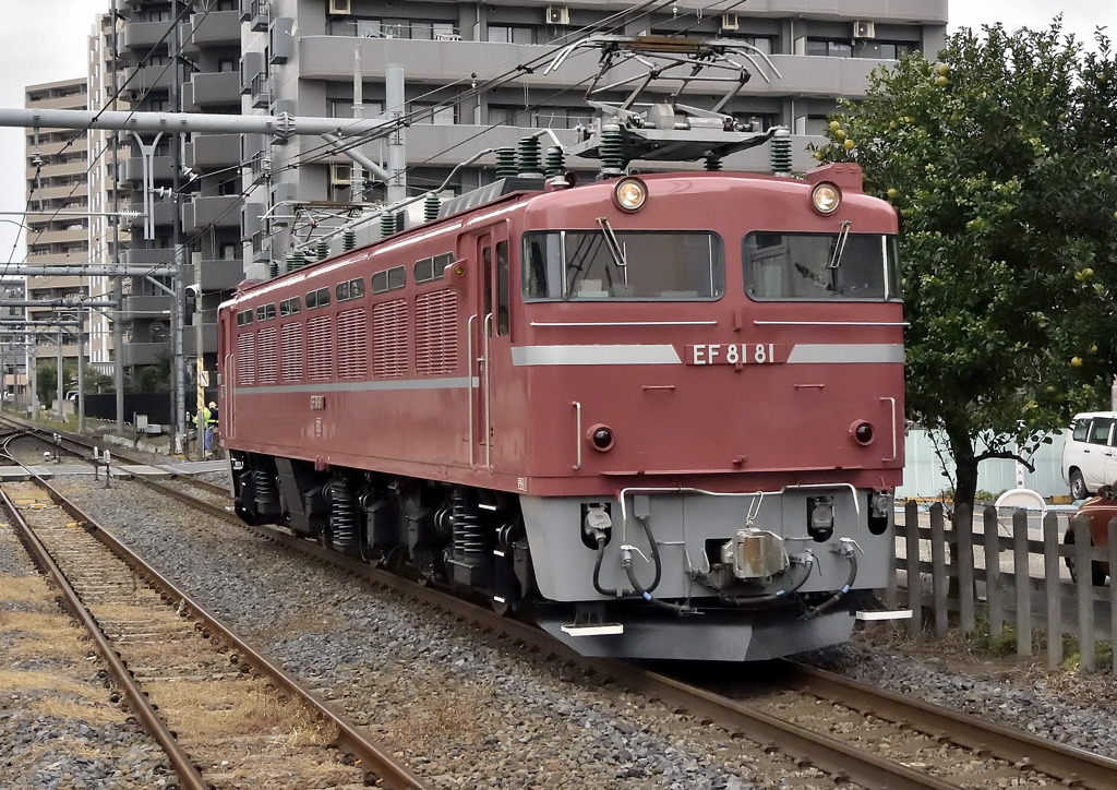 EF81-81