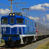 デキ507号