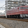 EF81-81 キヤ回