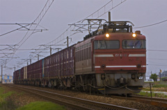 EF81-19