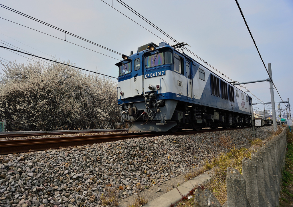 EF64-1017