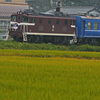 デキ505号