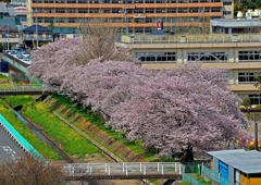 東小学校